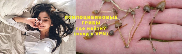mix Нея