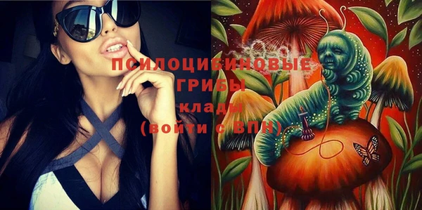 СК Навашино