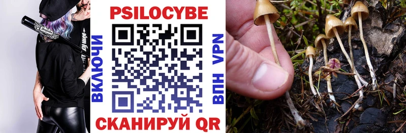Галлюциногенные грибы Magic Shrooms что такое Новосиль