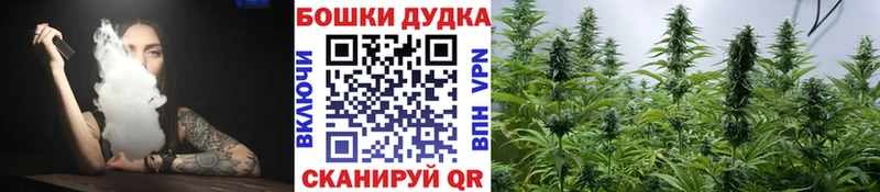 гидра онион  купить закладку  Новосиль  Марихуана гибрид 